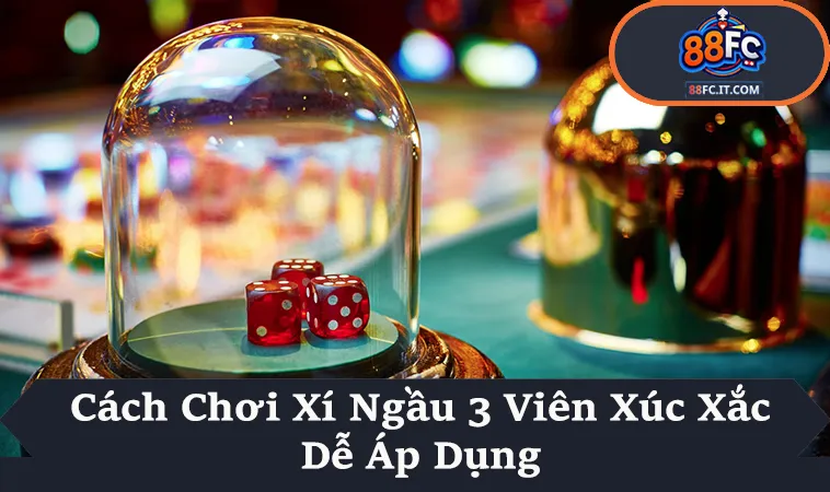 Cách Chơi Xí Ngầu Thực Tế Với 3 Viên Xúc Xắc
