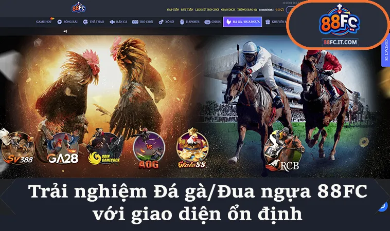 Trải nghiệm Đá gà/Đua ngựa 88FC với giao diện ổn định